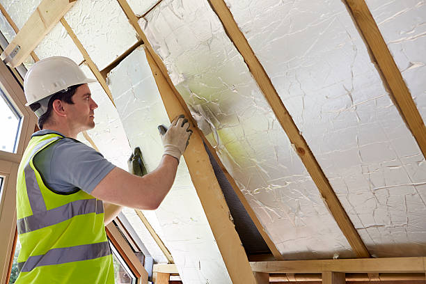 Best Specialty Insulation in Haines City, FL
